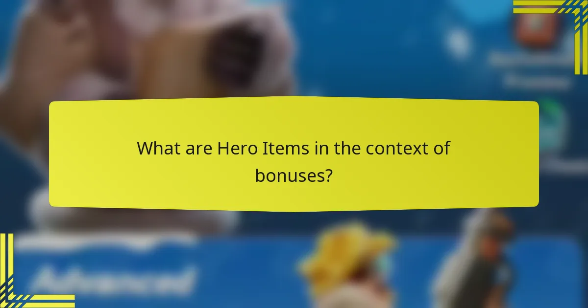 What are Hero Items in the context of bonuses?